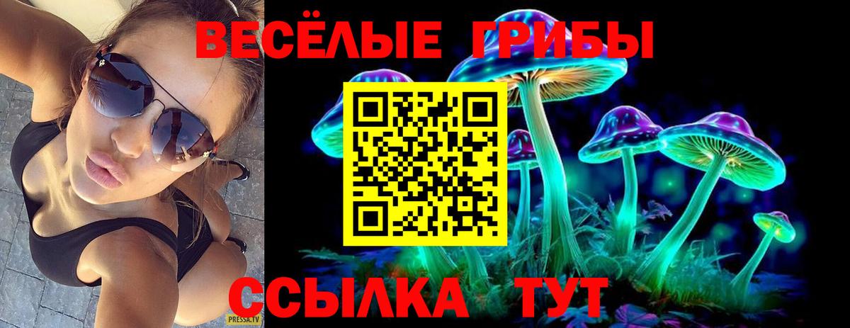 Галлюциногенные грибы MAGIC MUSHROOMS  Вход с VPN  Галлюциногенные грибы GOLDEN TEACHER  Кирово-Чепецк 